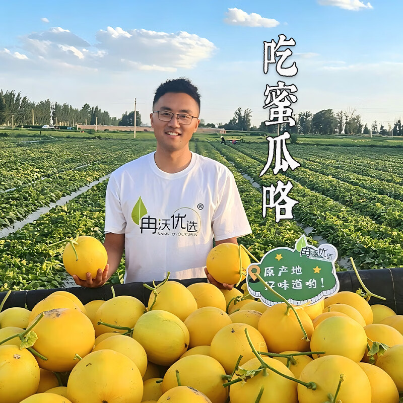 白兰瓜净4.5-5斤（1-2枚）现摘速发 14.9元 - 86线报