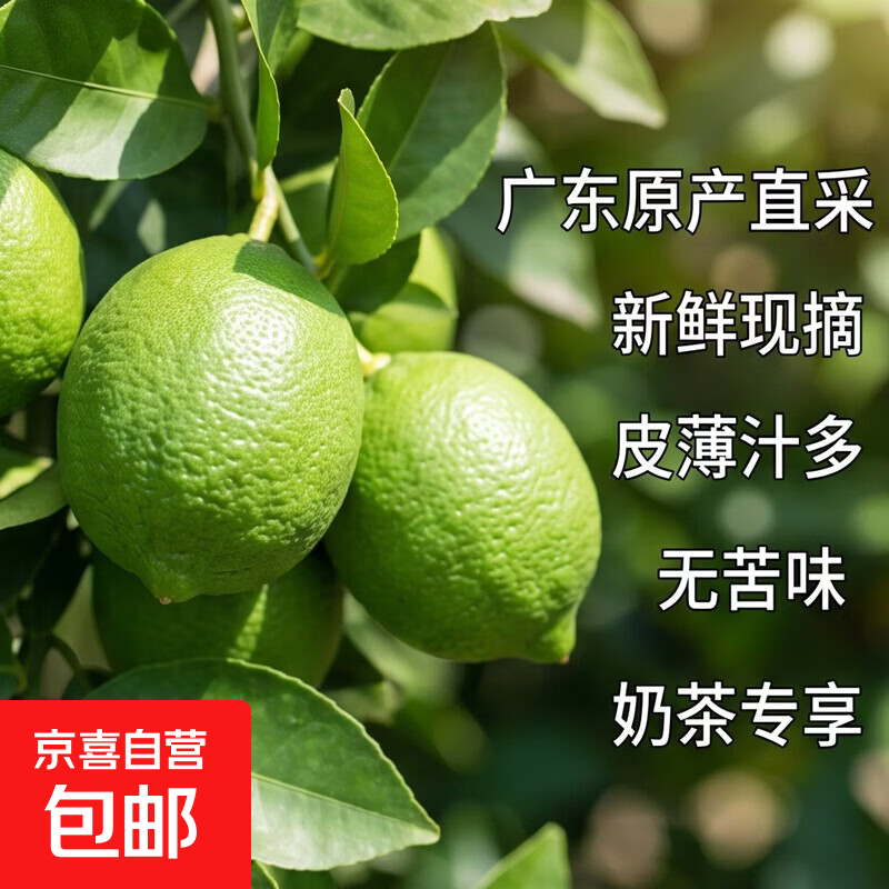 百补优选广东香水柠檬6粒装单果净重70g 1.99元 - 86线报