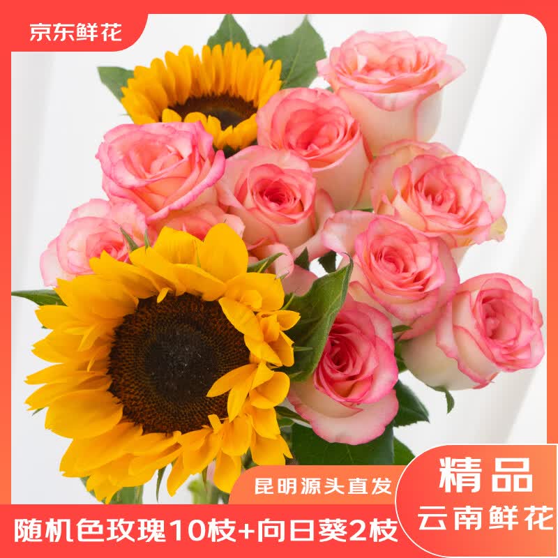 京东鲜花云南昆明基地鲜花色玫瑰10枝+向日葵5枝生活鲜花源头直发 15.9元 - 86线报