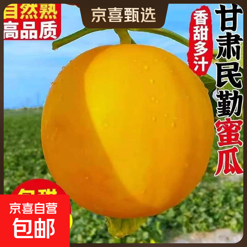 京喜正宗甘肃民勤蜜瓜新鲜沙漠黄河甜瓜带箱9-10斤净重8-9斤 14.88元 - 86线报 京喜正宗甘肃民勤蜜瓜新鲜沙漠黄河甜瓜带箱9-10斤净重8-9斤 14.88元 - 86线报