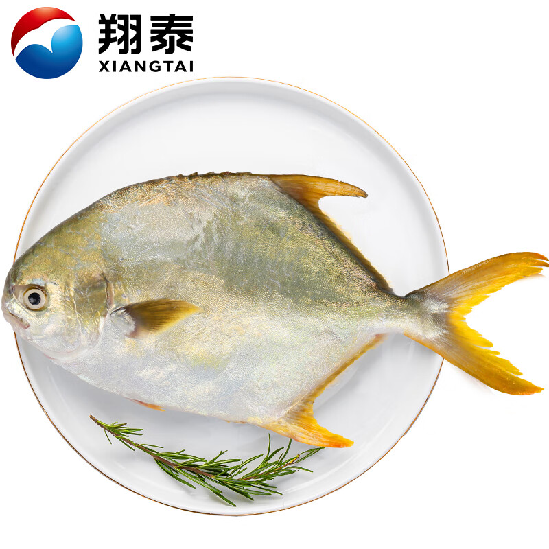 翔泰 海南大规格金鲳鱼550g1条海鱼生鲜鱼类火锅 海鲜水产 15.81元 - 86线报
