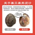 鲜京采 鲜活大美贝 5斤 每斤15-20粒 券后17.9元 图片 2