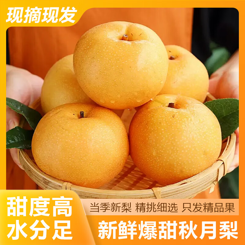 雪芬秋月梨新鲜脆甜多汁现摘现发净含量4.5斤单果300g+ 15.9元 - 86线报
