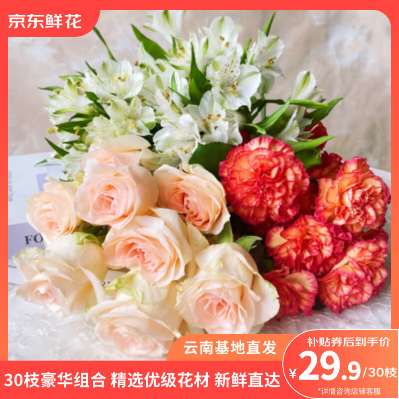 京东鲜花玫瑰10枝+康乃馨10枝+六初花10枝 29.9元 - 美泡泡