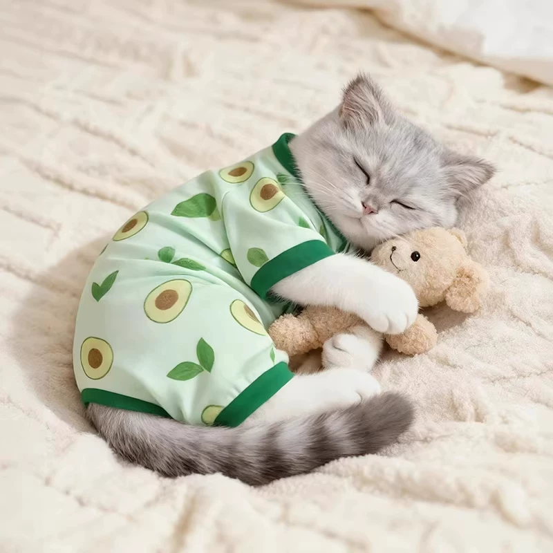 雪狮猫咪衣服薄款透气空调服防掉毛牛油果家居服饰夏天狗狗睡衣凉凉衣 5.78元 - 线报酷