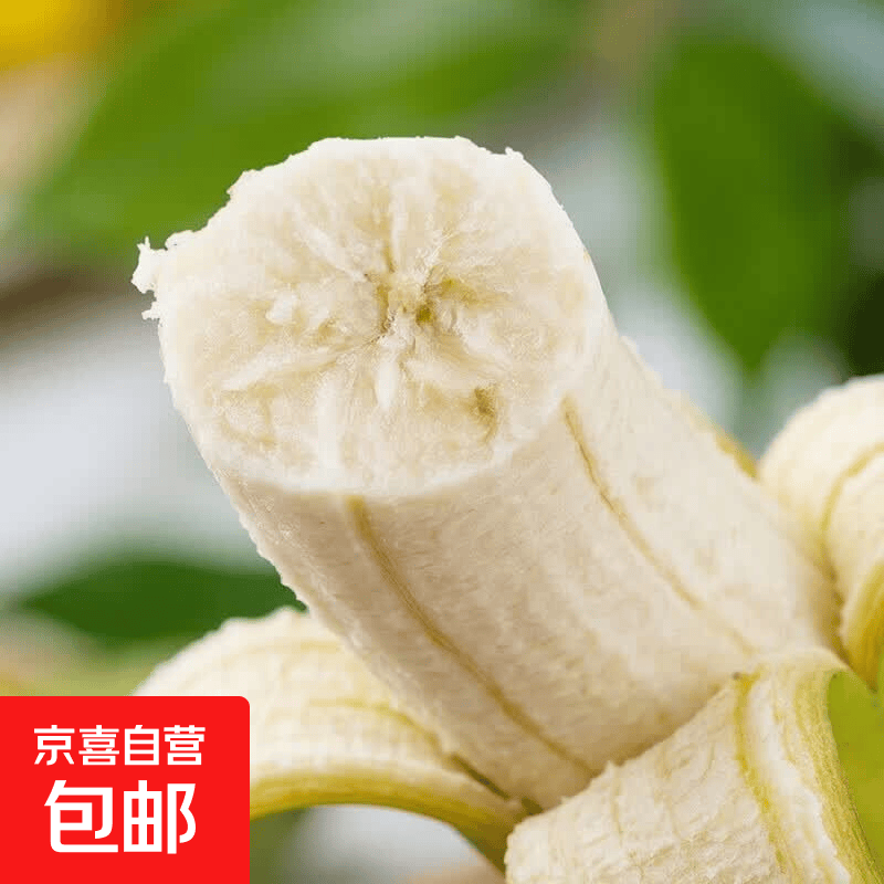 京喜 云南高山甜香蕉整箱包邮 5斤 青蕉发货自行催熟 券后11.09元 - 86线报