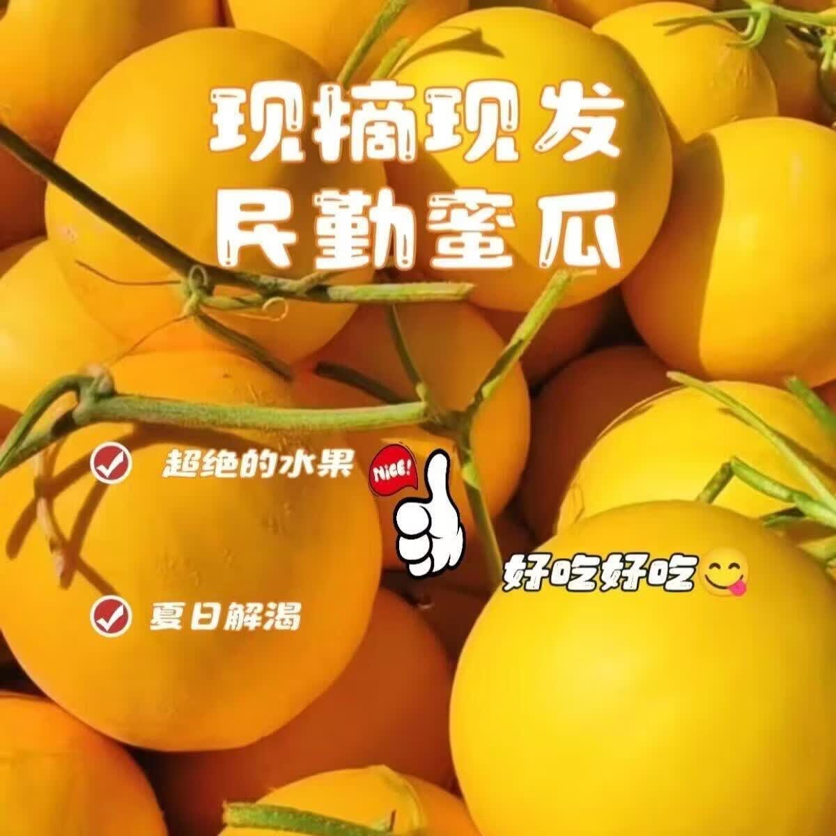 京喜正宗甘肃民勤蜜瓜新鲜沙漠黄河甜瓜带箱9-10斤净重8-9斤 14.88元 - 86线报