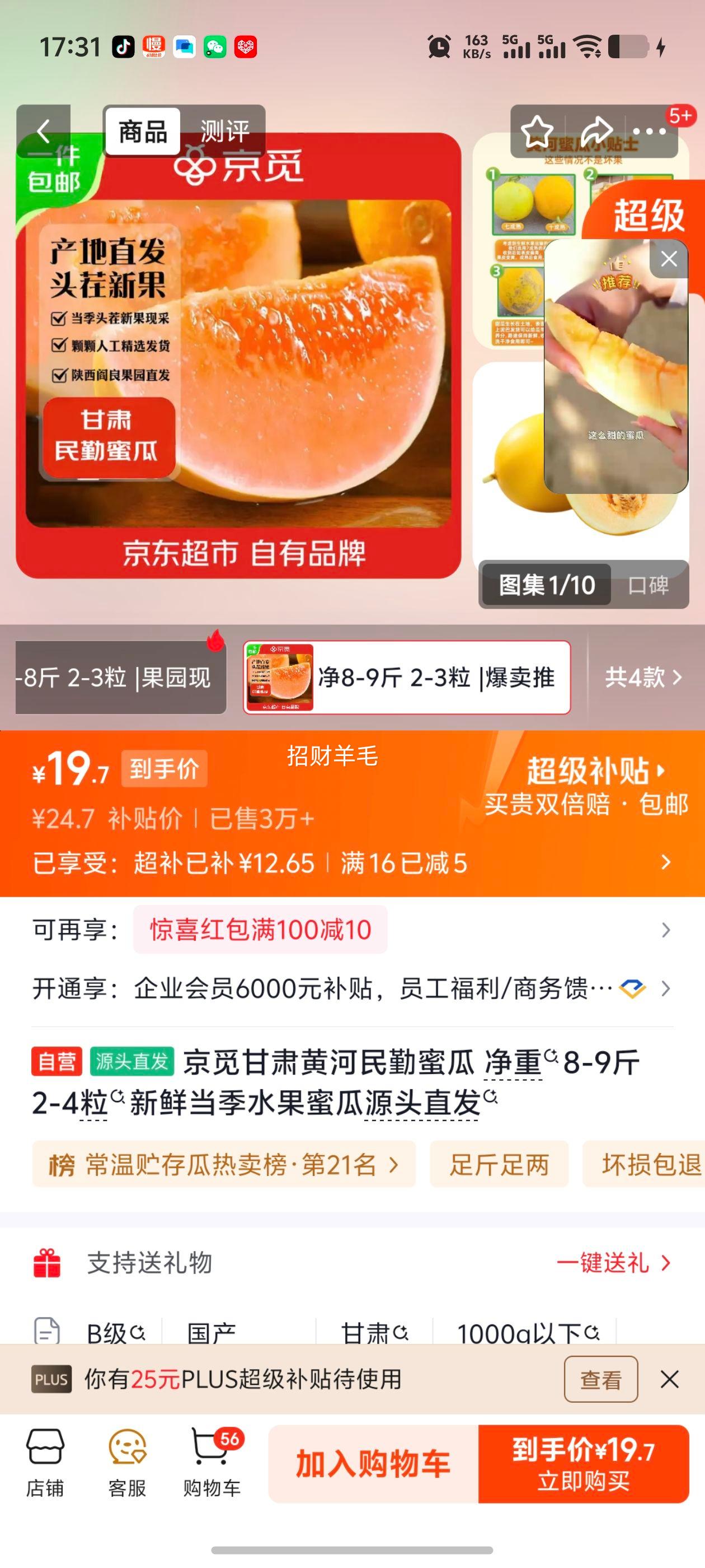 京觅甘肃黄河民勤蜜瓜8-9斤2-4粒 19.7元 - 86线报