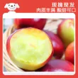 线报图片
