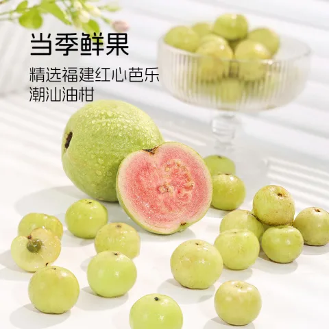 一枝笔 芭乐油柑汁0添加整箱245ml*10瓶 27.9元（需买2件，需用券） 图片 1
