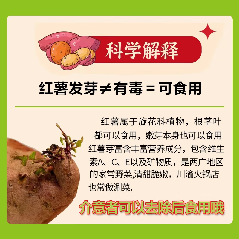 佳农宝菜天目山小香薯3斤 10.89元 - 86线报