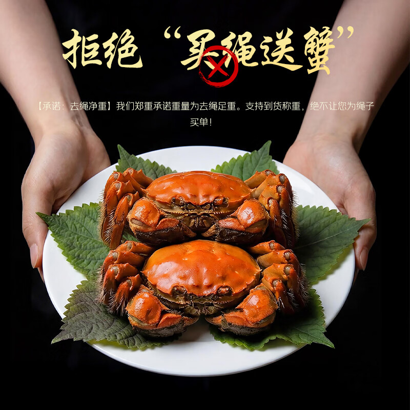 江问鱼鲜活大闸蟹螃蟹全母足斤足两生鲜1.3-1.6两12只装 99元 - 86线报