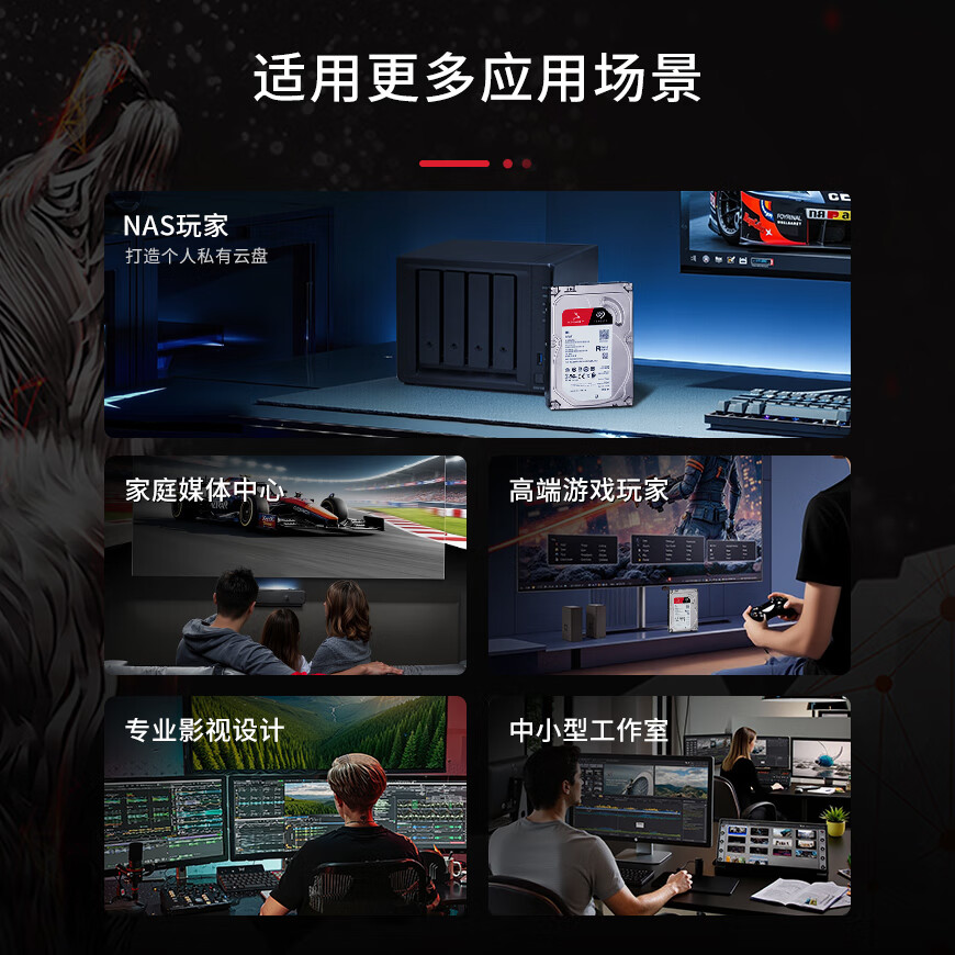 希捷NAS硬盘4TB 256MB CMR垂直 静音低耗 数据恢复服务 3.5英寸 - 线报酷