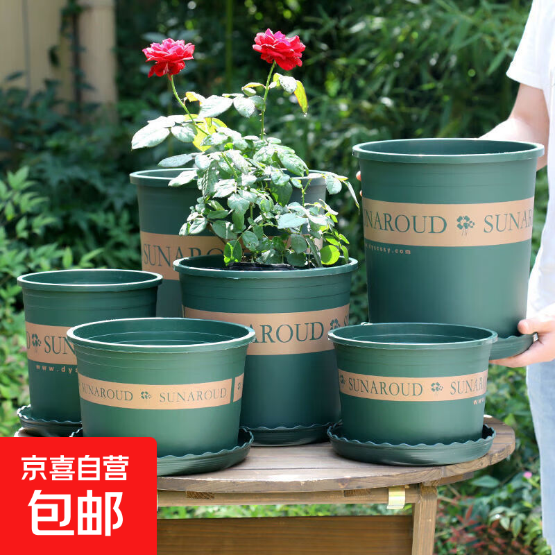 花盆矮款1加仑口径15cm1个盆配套托盘 0.99元 - 折送网 花盆矮款1加仑口径15cm1个盆配套托盘 0.99元 - 折送网