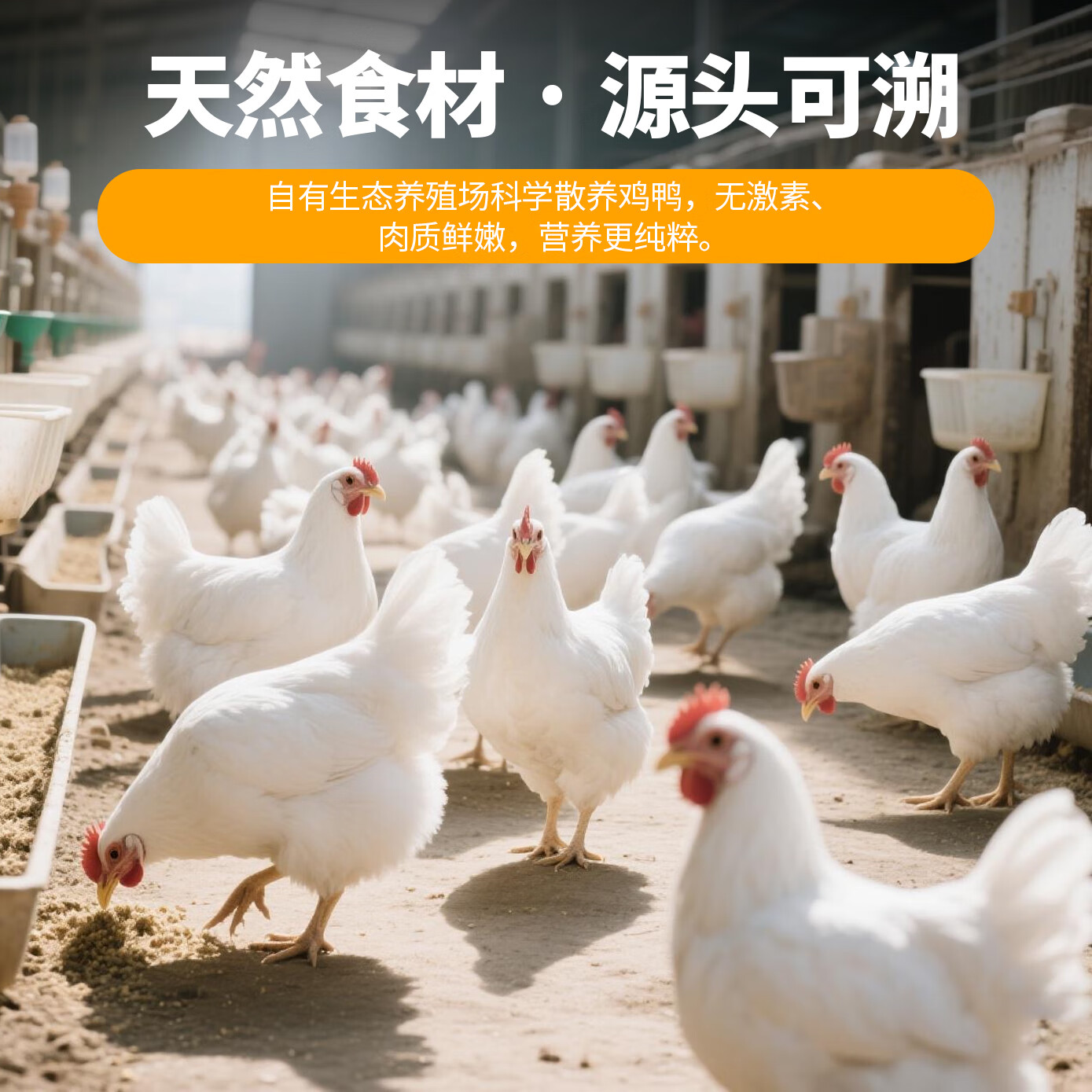卡尔训练磨牙励狗狗零食原味鸭肉条400g 15.9元 - 86线报