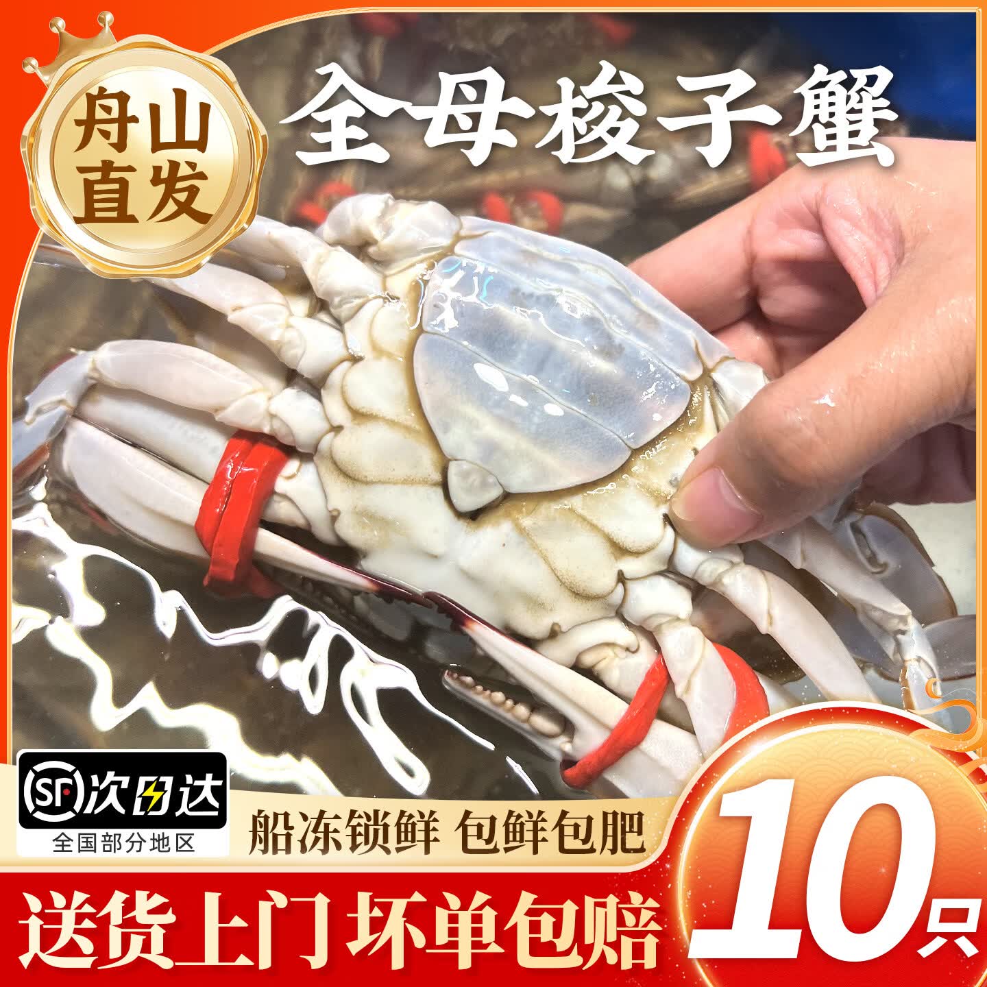 鲜喜利舟山梭子蟹鲜活超大母蟹4-6两/只净重4斤 84.99元 - 86线报 鲜喜利舟山梭子蟹鲜活超大母蟹4-6两/只净重4斤 84.99元 - 86线报