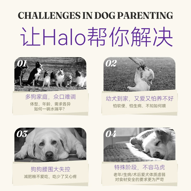 HALO试吃尝鲜Halo自然光环狗粮小型犬中大型成犬粮纯鲜肉无谷健美海陆 29.8元 - 86线报 HALO试吃尝鲜Halo自然光环狗粮小型犬中大型成犬粮纯鲜肉无谷健美海陆 29.8元 - 86线报