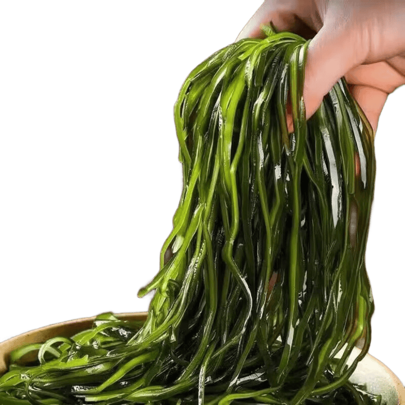大连鲜海带盐渍海带丝500g 1.09元 - 86线报
