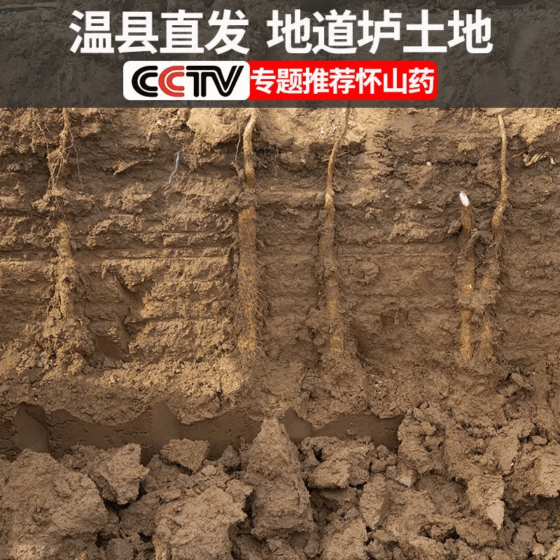 译优农河南焦作温县垆土铁棍山药5斤50-60cm 51.78元 - 86线报