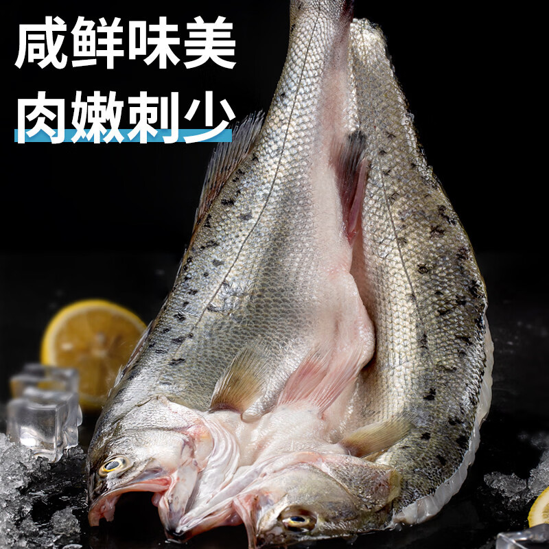 百鲜洽海鲈鱼净重400g-500g/条*3条 54.9元 - 线报酷