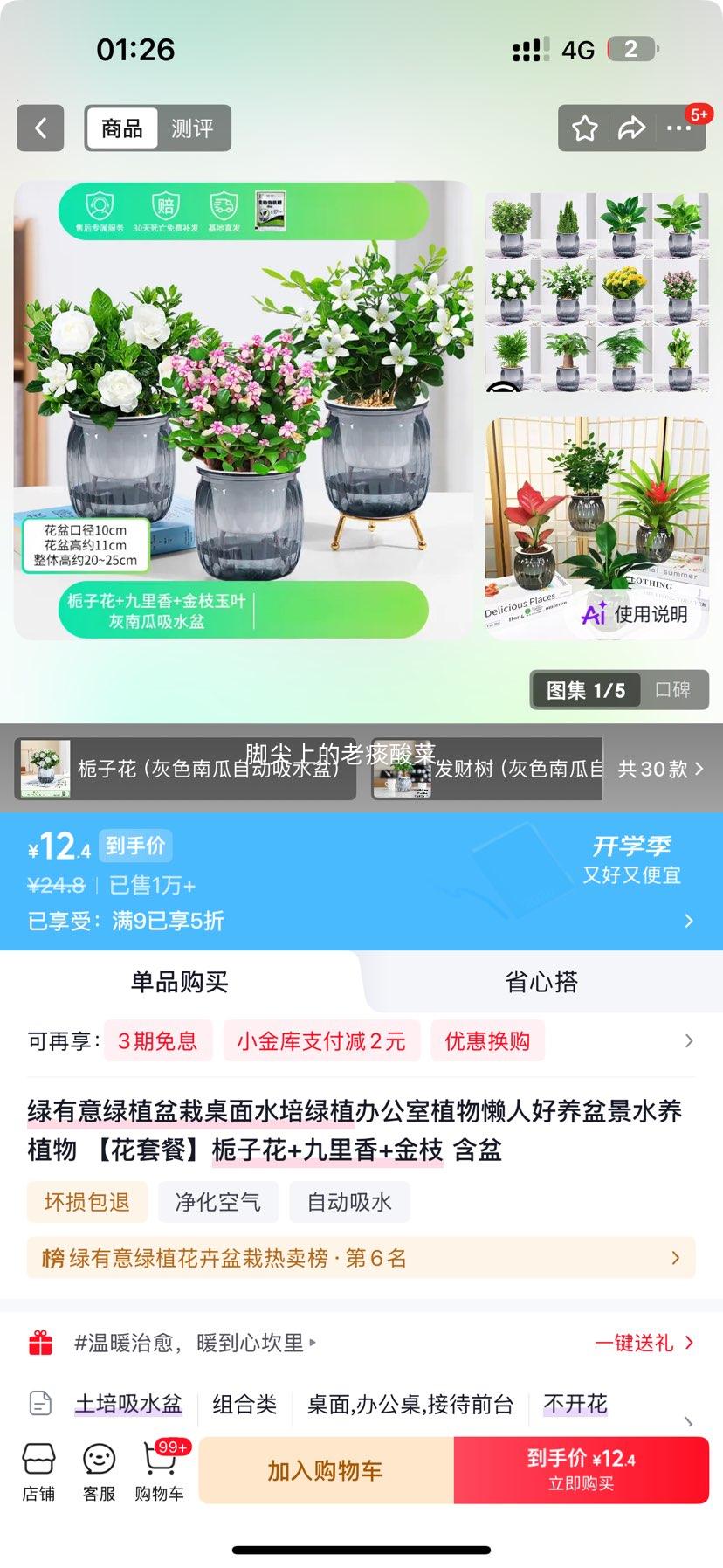 绿有意栀子花+九里香+金枝水培绿植套餐3棵含盆 12.4元 - 86线报