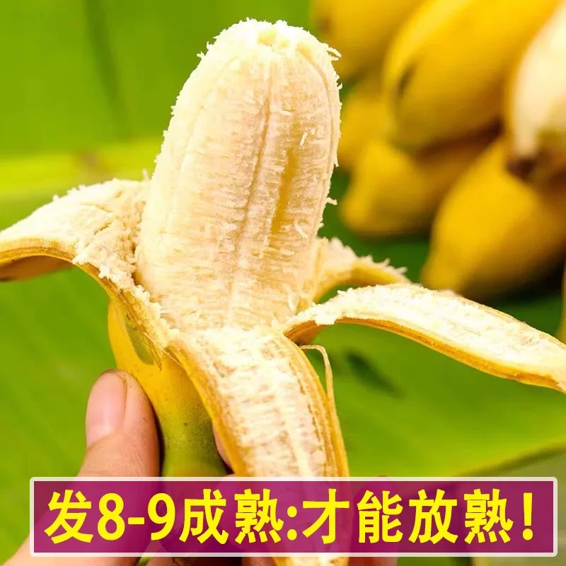 果笺广西小米蕉9斤 4.57元 - 86线报