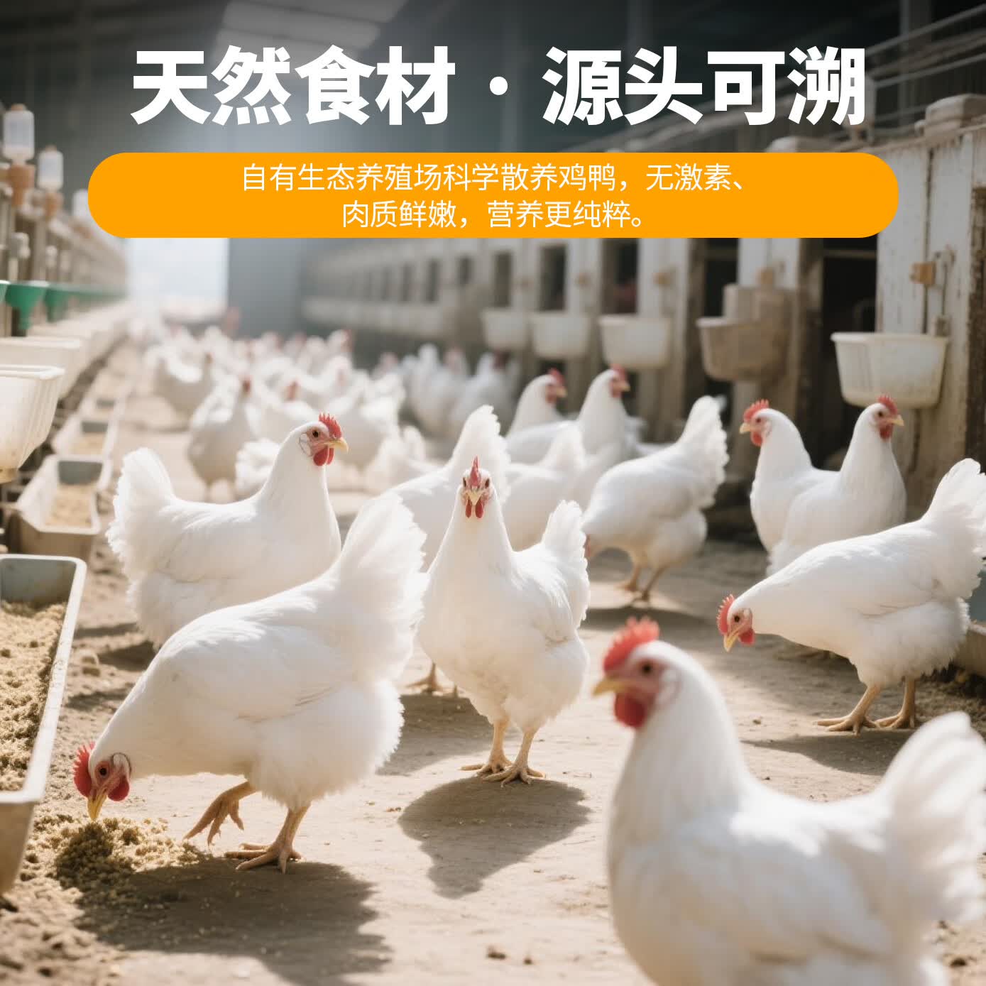 卡尔训练磨牙励狗狗零食原味鸡肉条500g 15.9元 - 线报酷