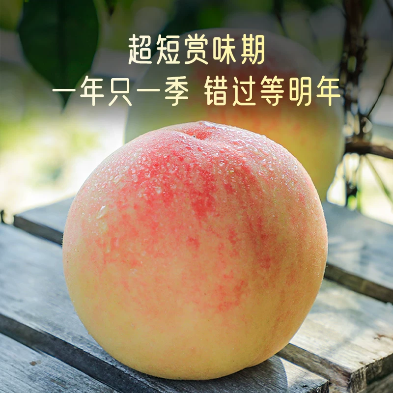 阳山正宗无锡阳山水蜜桃子白凤应当季时令水果新鲜整箱湖景毛顺丰礼盒 43元 - 86线报