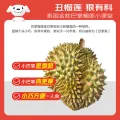京鲜生 泰国金枕巴掌鲜榴莲2个装 总净重5-6斤 单果2-3斤 源头直发 券后90.93元 图片 1
