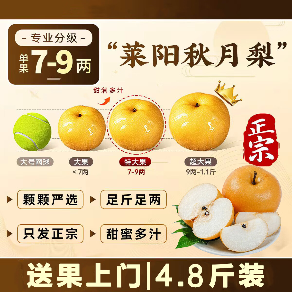 京觅山东秋月梨单果350g起4.7斤装 32.6元 - 线报酷