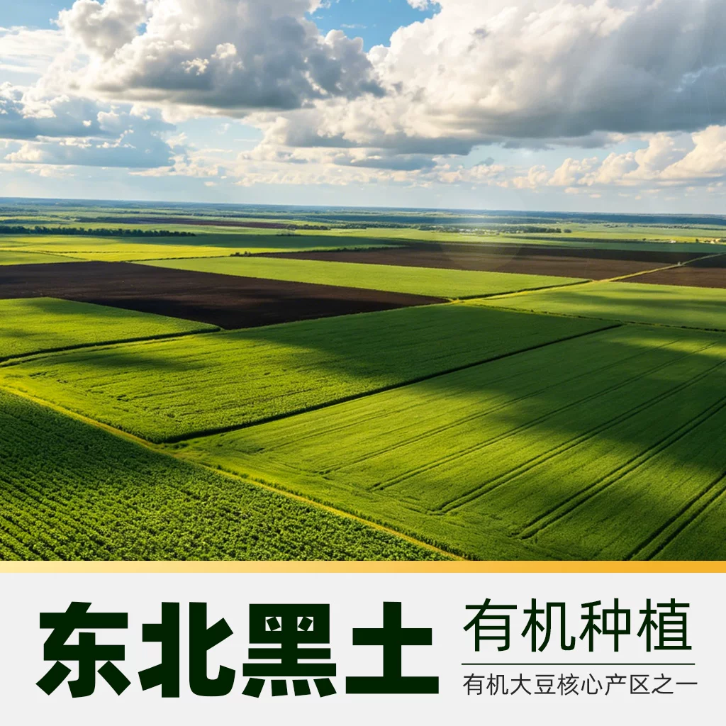 豆本豆无蔗糖有机纯豆奶250ml*12盒 28.64元 - 86线报