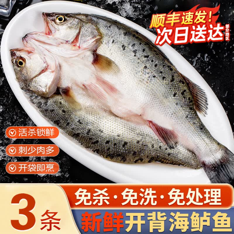 百鲜洽海鲈鱼净重400g-500g/条*3条 54.9元 - 线报酷