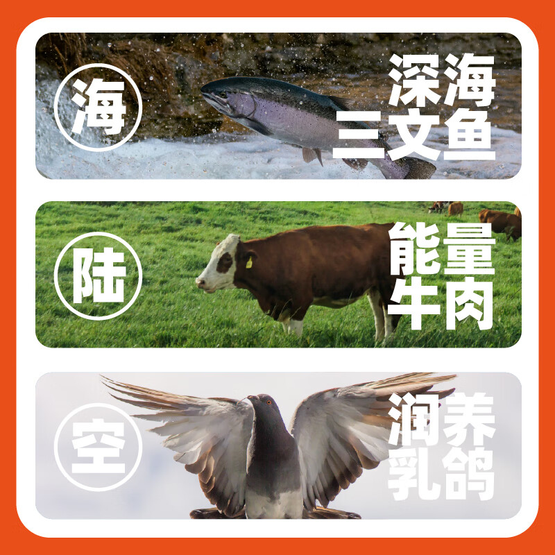 毛星球 海陆空主食猫粮 500g*5 46.74元 - 折送网