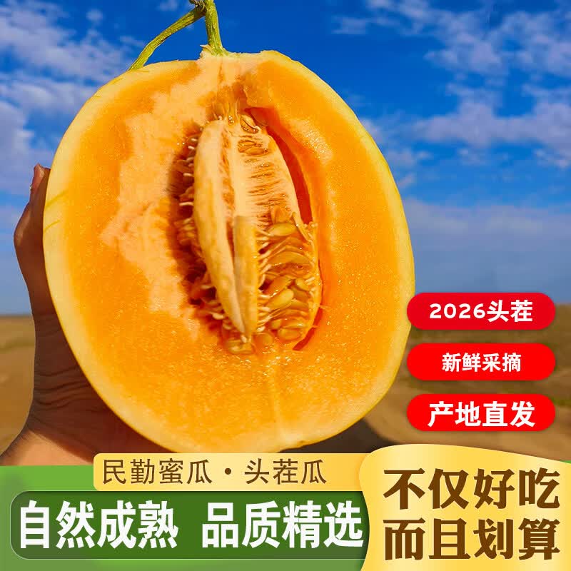白兰瓜净4.5-5斤(1-2枚)现摘速发 14.9元 - 86线报 白兰瓜净4.5-5斤(1-2枚)现摘速发 14.9元 - 86线报