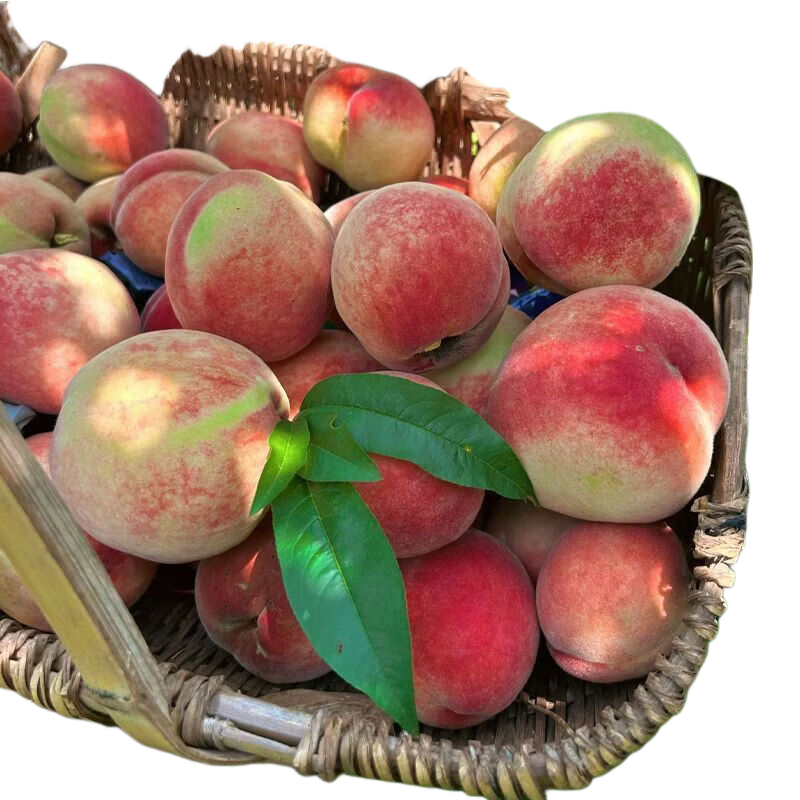 湖北露天水蜜桃新鲜时令大毛桃整箱5斤净重4.5斤单果90g+ 14.9元 - 线报酷