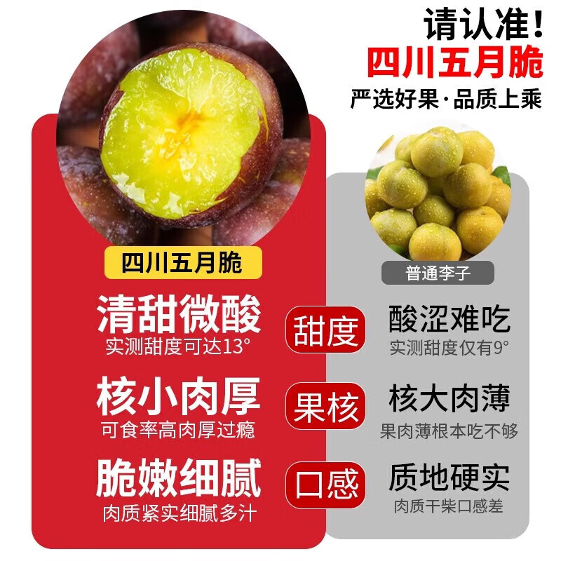 酷果汇四川脱骨李子15g+5斤彩箱装 19.4元 - 86线报