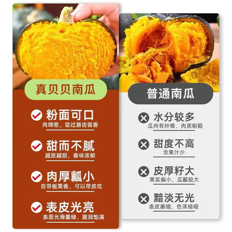 京觅山东贝贝南瓜净重5斤单果200g+板栗香小南瓜源头直发 13.8元 - 86线报