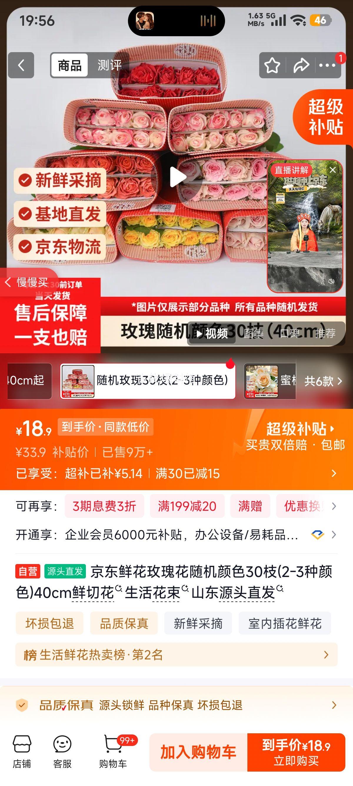 鲜花 玫瑰花 枝 40cm 鲜切花 生活花束 折0.63元/枝 枝18.9元 - 86线报