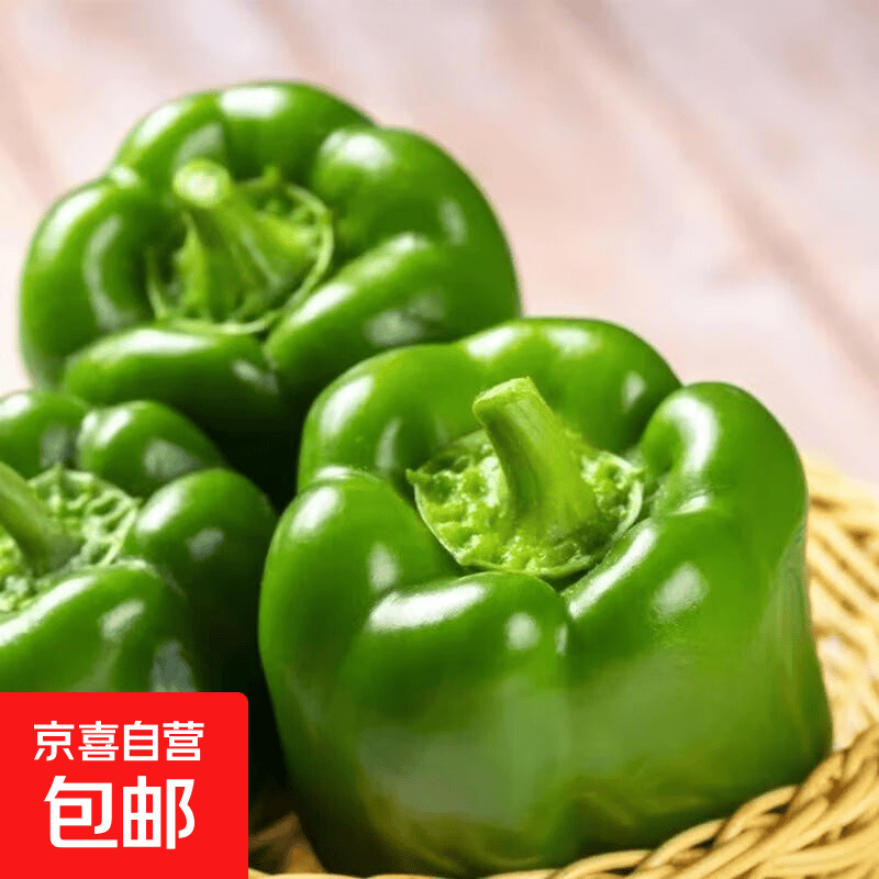 现摘新鲜圆辣椒超市即食太空椒皮厚肉多不辣水果灯笼椒山东圆椒净重1.8斤 1.61元 - 86线报 现摘新鲜圆辣椒超市即食太空椒皮厚肉多不辣水果灯笼椒山东圆椒净重1.8斤 1.61元 - 86线报