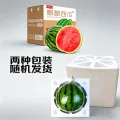 京鲜生 无籽麒麟西瓜 1粒 净重5-7斤 14.85元 图片 2