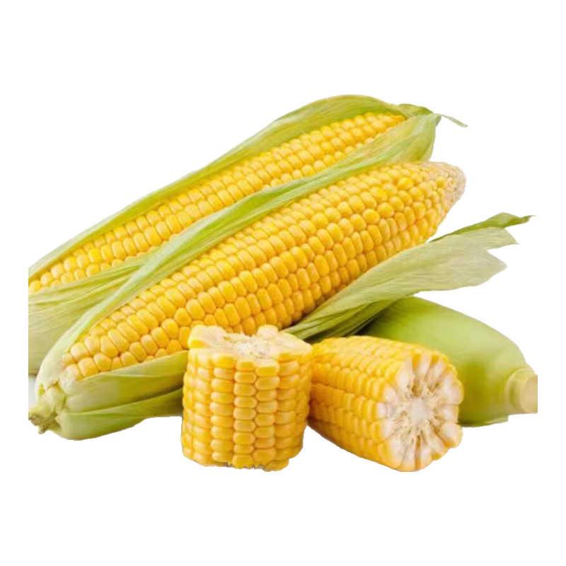 水果甜玉米单根300g+带箱5斤净重4.5斤 10.9元 - 折送网 水果甜玉米单根300g+带箱5斤净重4.5斤 10.9元 - 折送网