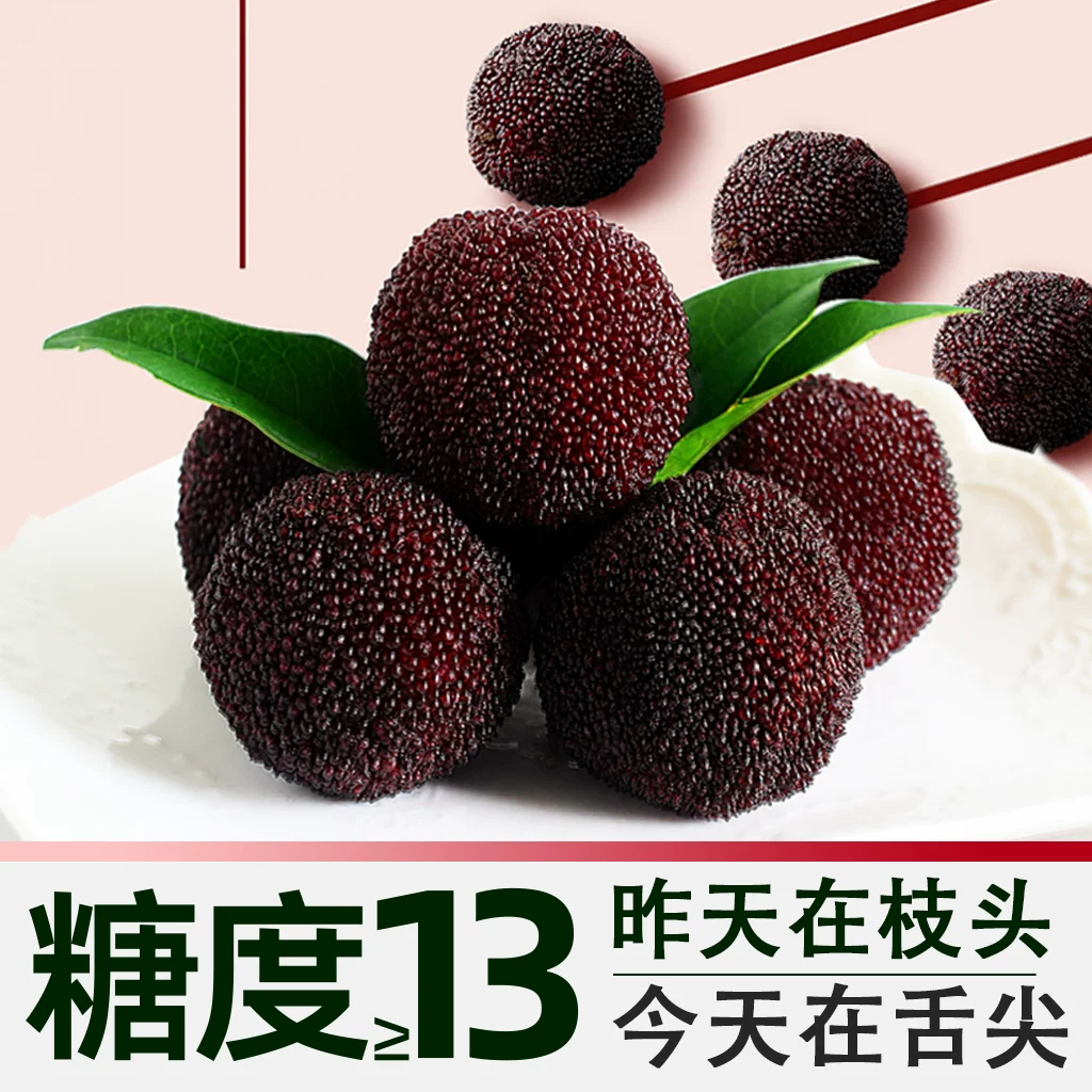 印象仙居大果速发东魁大杨梅杨梅皇颗粒装现摘现发新鲜浙江当季水果 60.32元 - 86线报