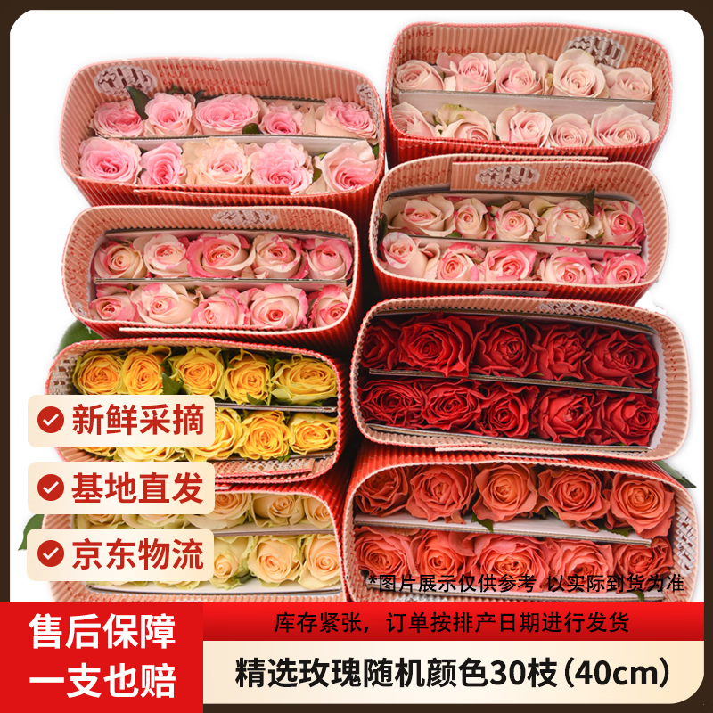 京东鲜花玫瑰花30枝无土栽培枝长鲜切花山东基地源头直发 16.8元 - 86线报