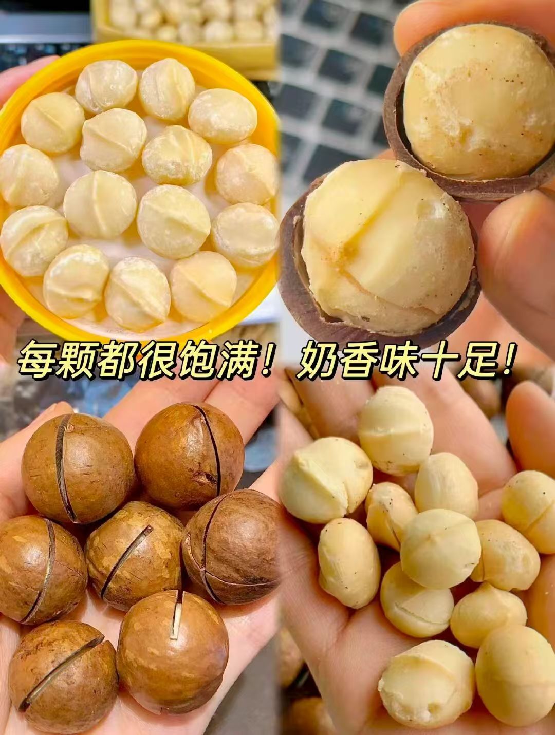 夏威夷果奶油味大果500克 14元 - 折送网