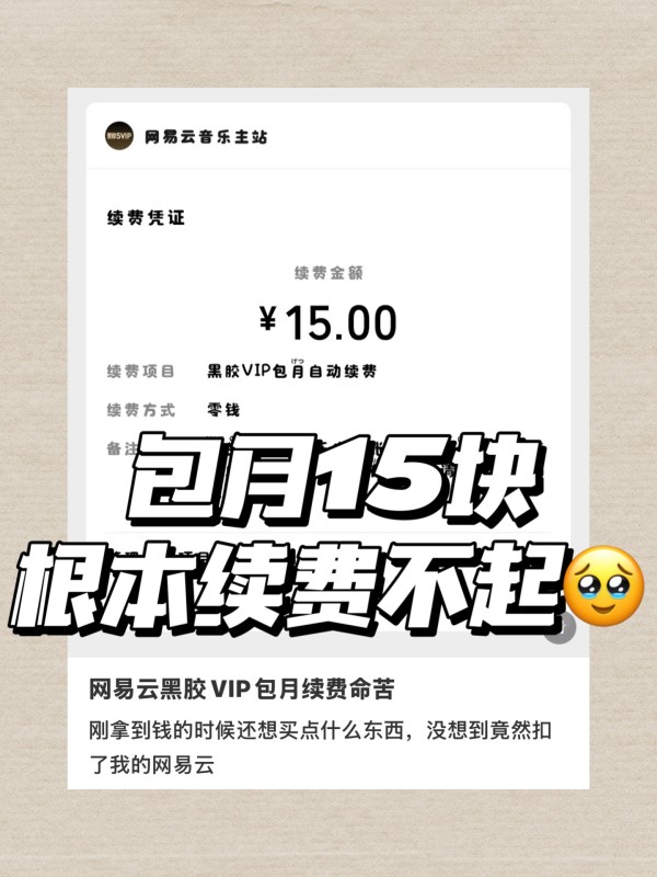 网易云会员年卡12个月 65元 - 86线报