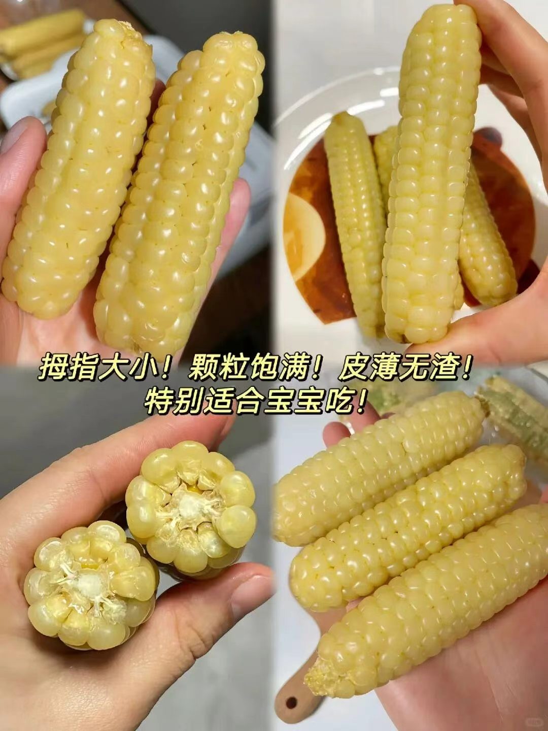 西双版纳拇指玉米500g约6-10根 13.9元 - 86线报