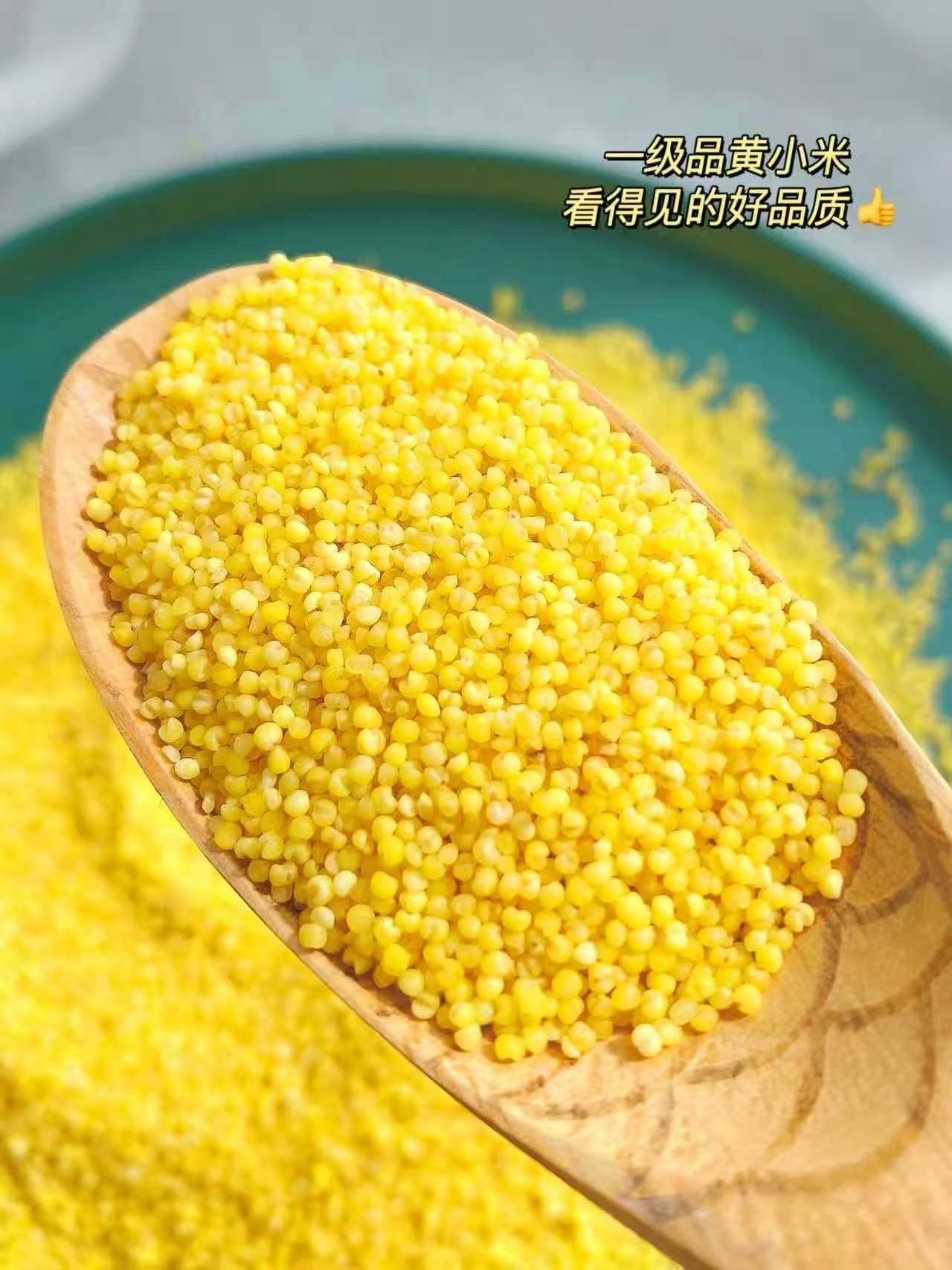金苗K1 有机的黄小米 帝辰 有机黄小米2斤💰16.9 - 86线报