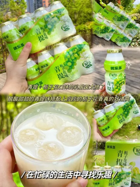 优乐多 白桃茉莉益生菌乳酸菌饮品 100ml×20瓶 图片 2