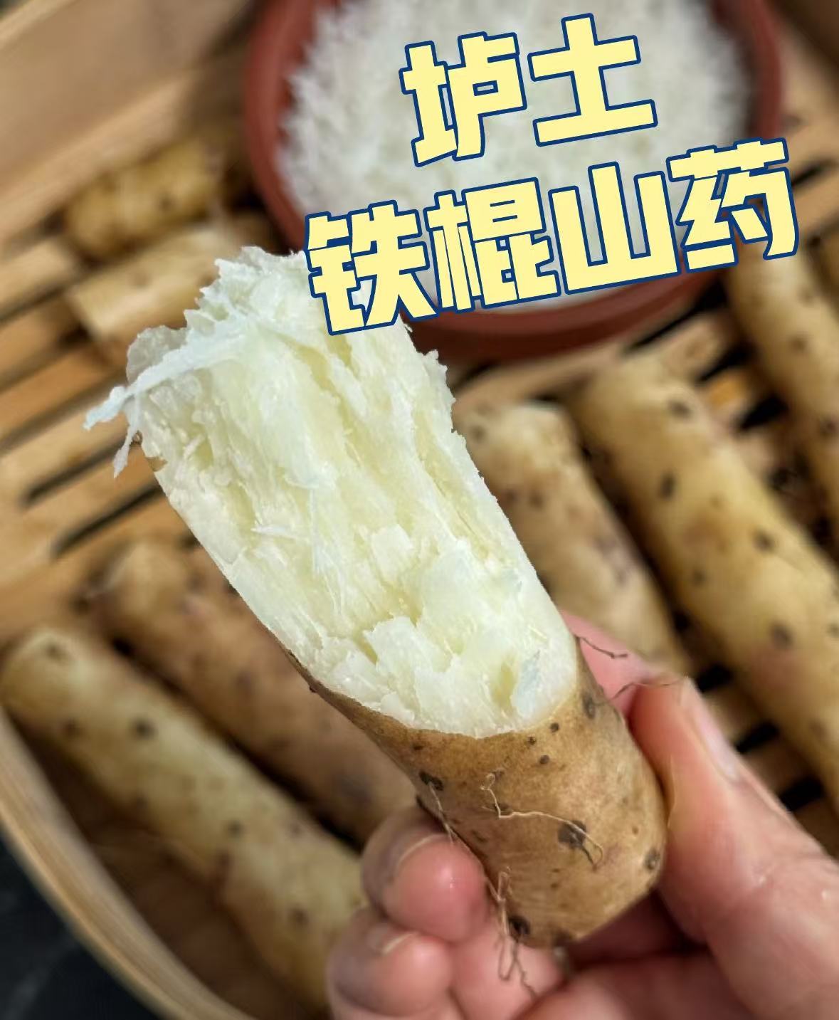 河洛北岸温县垆土铁棍山药40cm精品5斤 35元 - 86线报