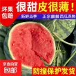 线报图片